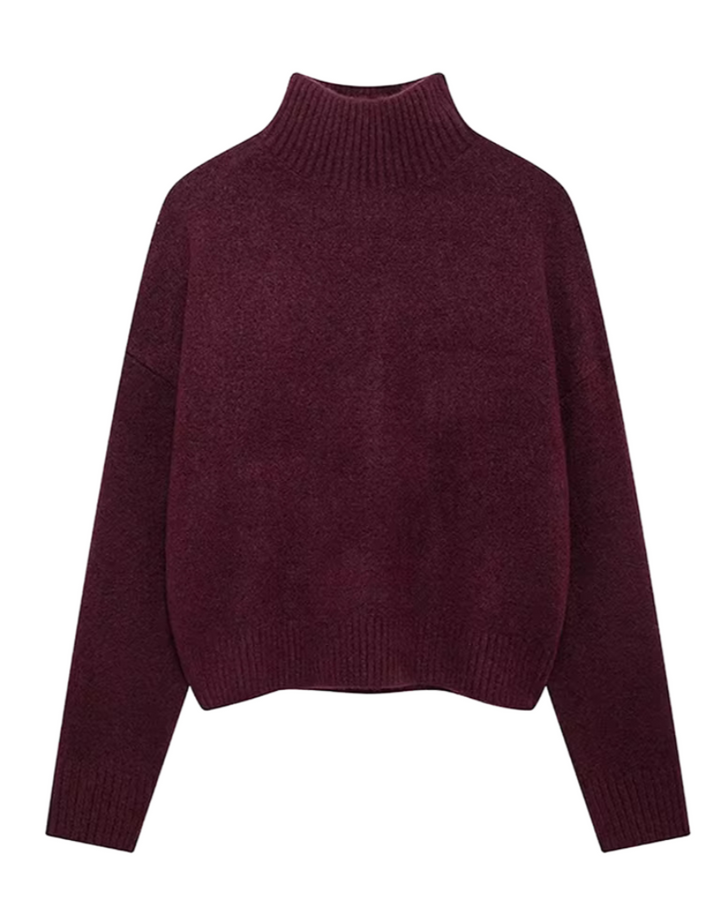 Aleah | Gemütlicher Rollkragen-Strickpullover aus weichem Material